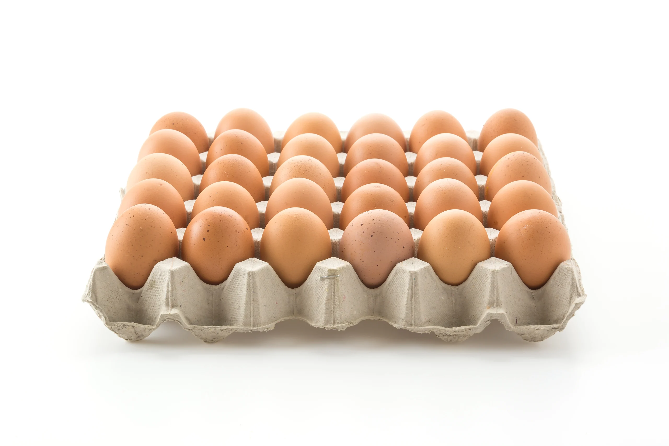 Egg Tray 30 Piece