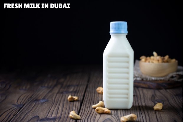 Fresh Cow Milk in Dubai & UAE – Health Benefits (1)
