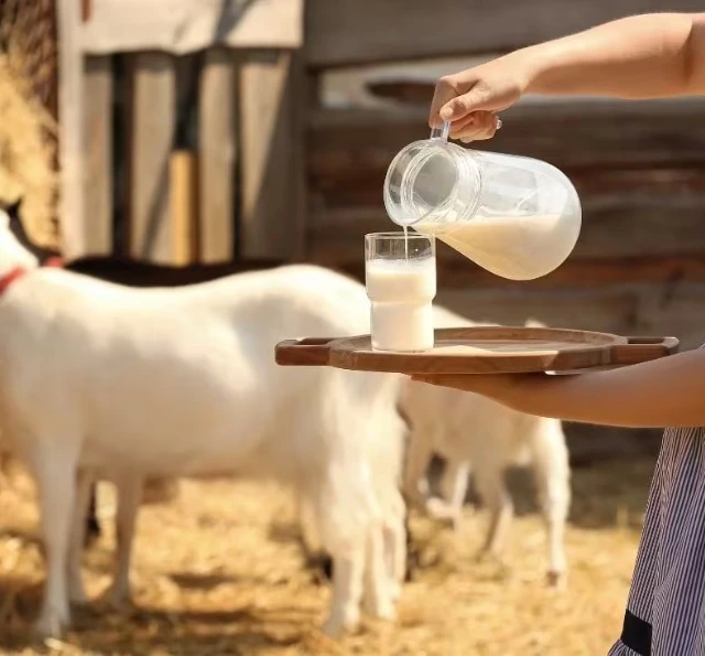 Health Benefits of Goat Milk