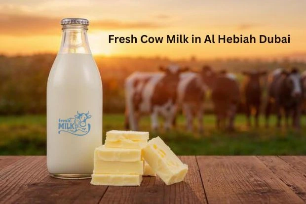 Fresh Cow Milk in Al Hebiah Dubai