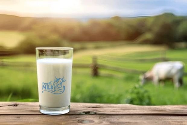 Fresh Dairy Every Single Morning