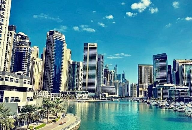 Fresh Milk & Dairy Delivery in Dubai Marina