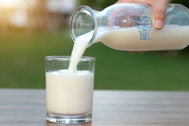 Fresh-Milk-in-Al-Nahda-Dubai