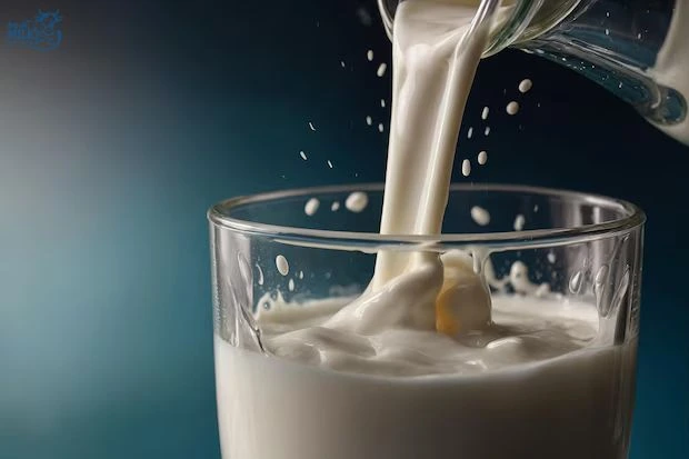 Fresh cow milk in Jebel Ali Dubai