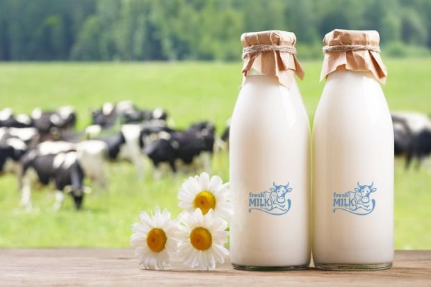 cow milk in Madinat Hind Dubai