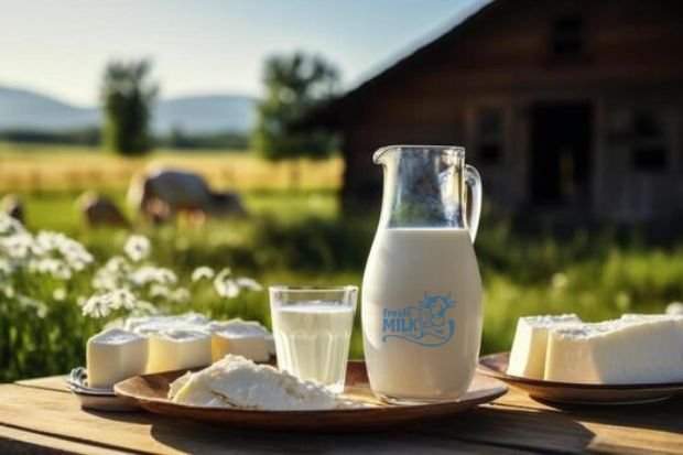 fresh cow milk Al Barsha Dubai