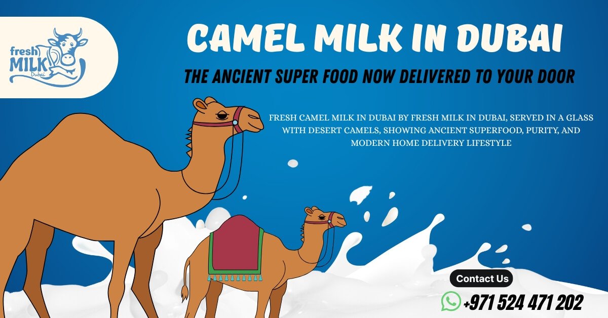 Camel Milk in Dubai
