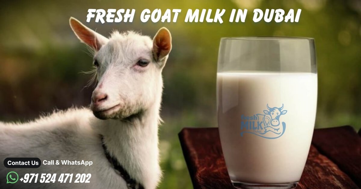 Fresh Goat Milk in Dubai