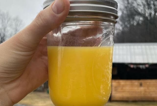 Pure buffalo ghee