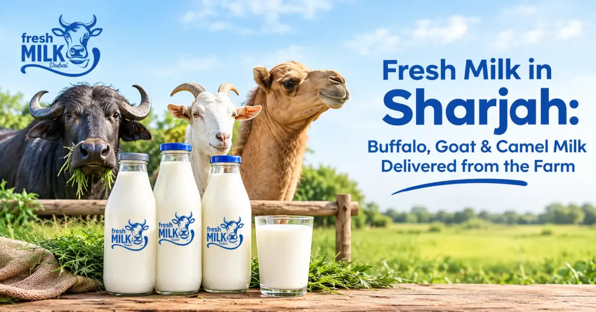 Fresh Milk in Sharjah